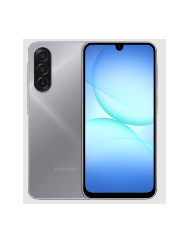 TELEPHONE SAMSUNG GALAXY A17 8+256GB GRIS